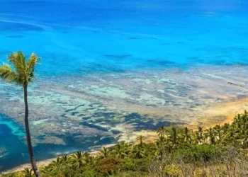 Fiji-cover