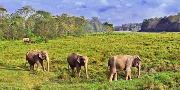 Bardia-National-Park