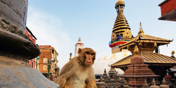 nepal-attraction-Kathmandu.