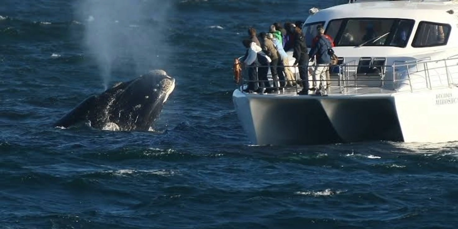southafrica-Hermanus