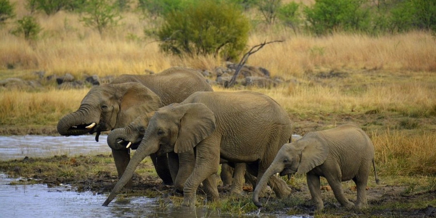Pilanesberg.