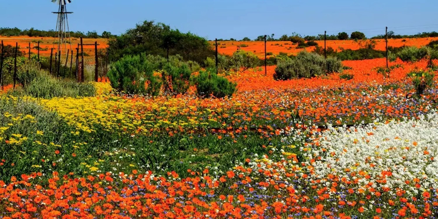 southafrica-attraction-namaqulaand