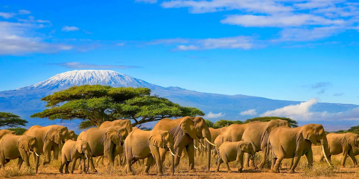 Tanzania-Cover-Image
