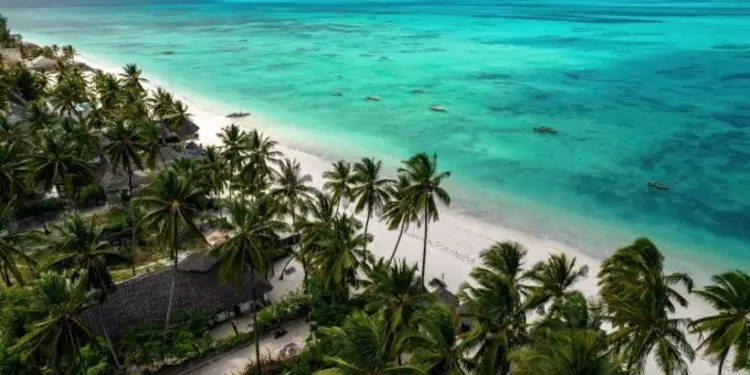 Tanzania Attractions: 33 Incredible Experiences | Travel Rethink Ways 20 Jambiani