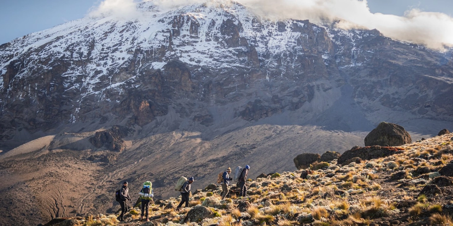 Trekking Kilimanjaro