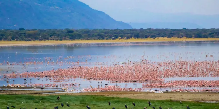 Lakemanyara