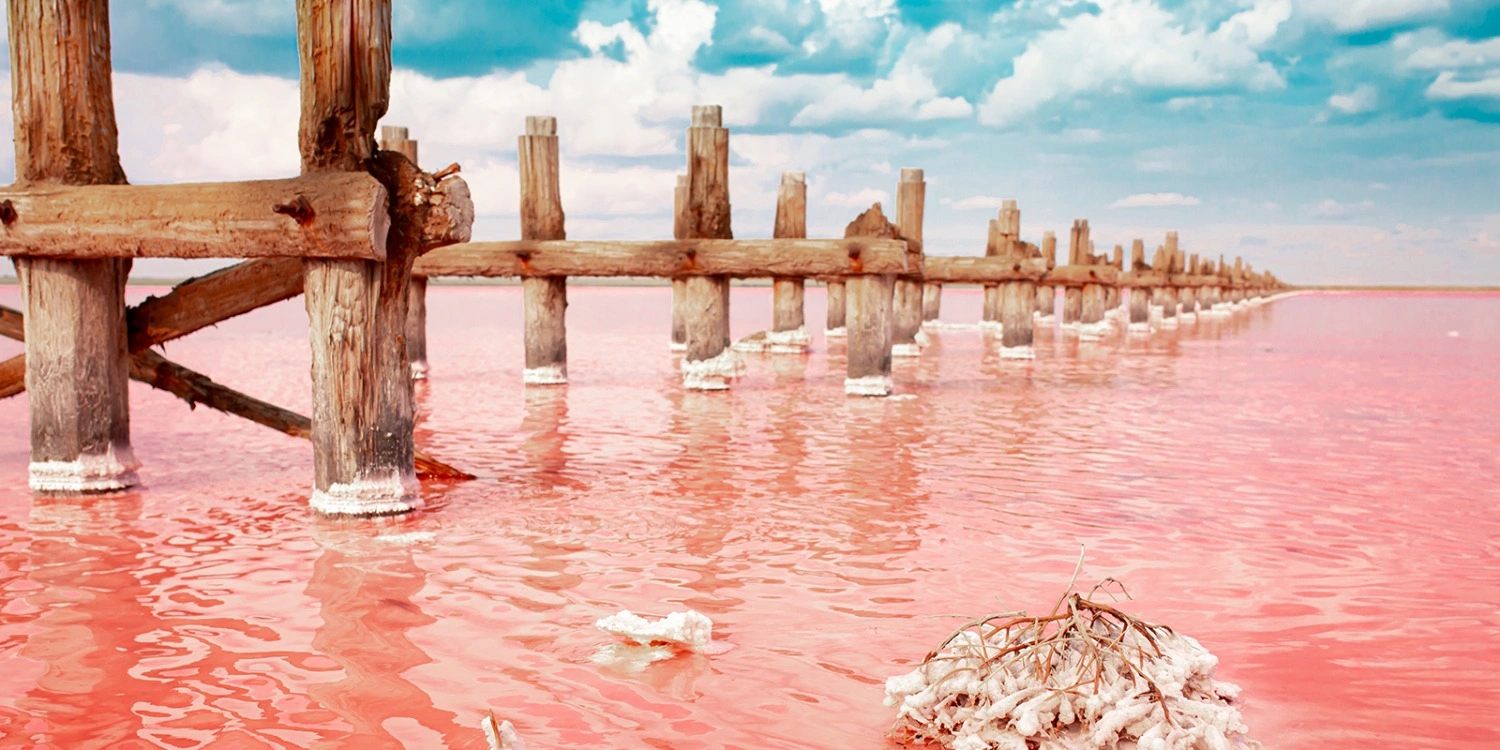 Tanzania Attractions: 33 Incredible Experiences | Travel Rethink Ways 13 LakeNatron
