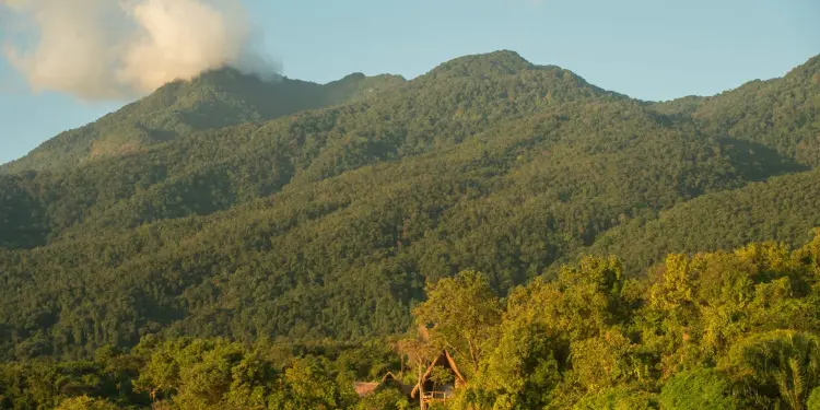 Tanzania Attractions: 33 Incredible Experiences | Travel Rethink Ways 14 Mahale