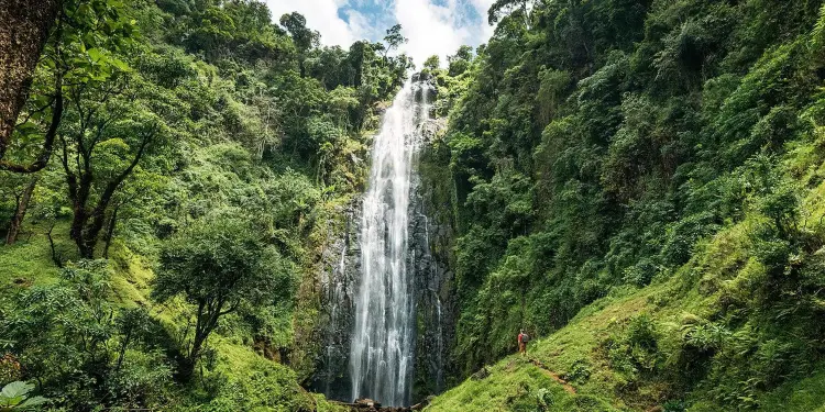 Tanzania Attractions: 33 Incredible Experiences | Travel Rethink Ways 11 Materuni