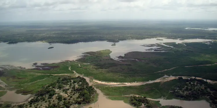 Nyerere