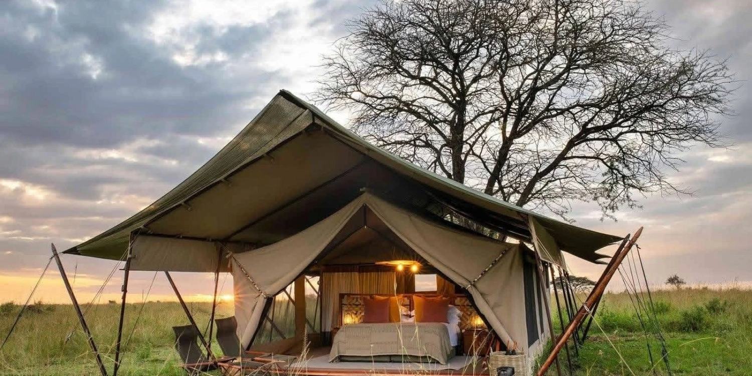 Safari Camping