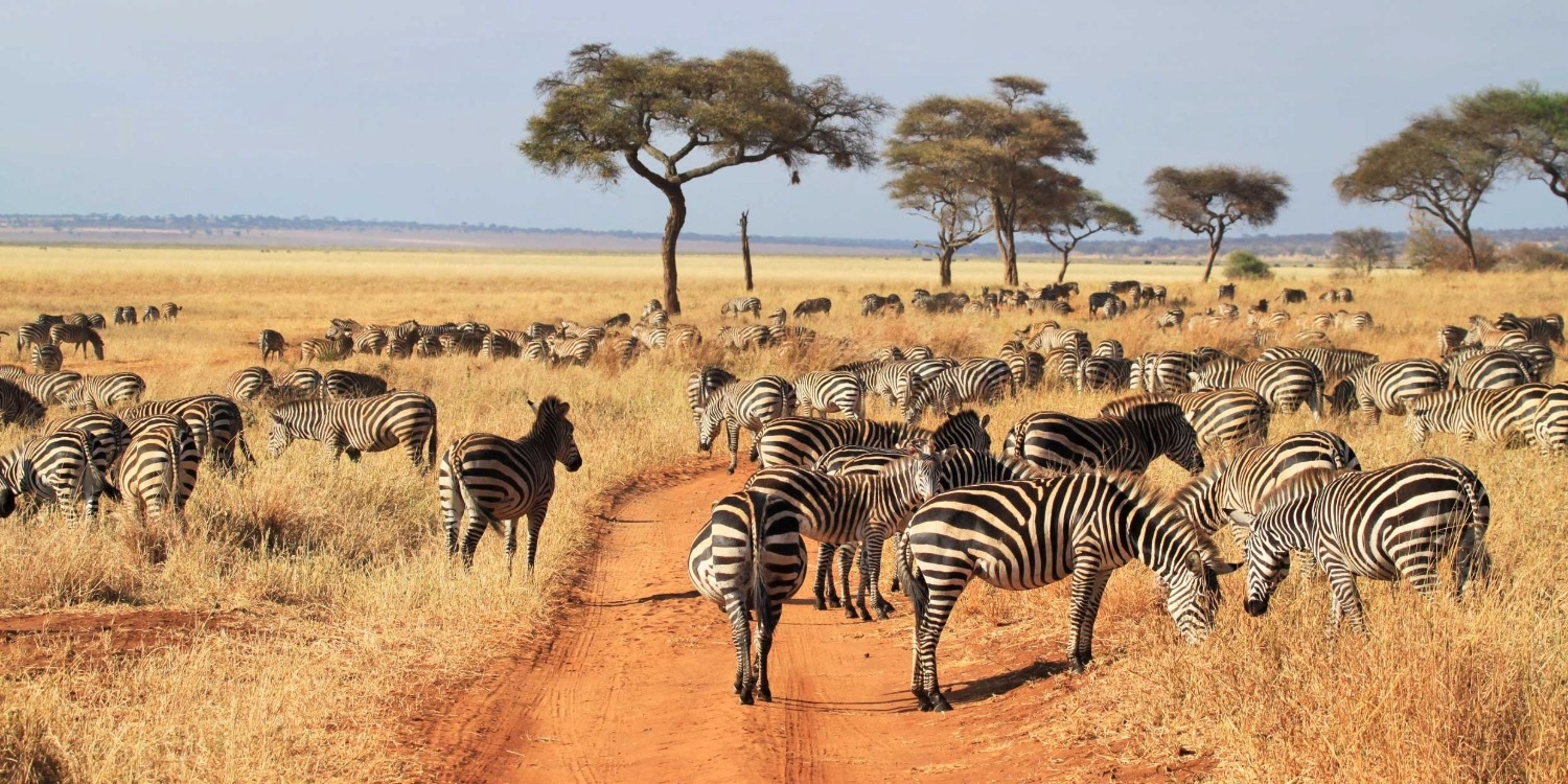 Tarangire National Park
