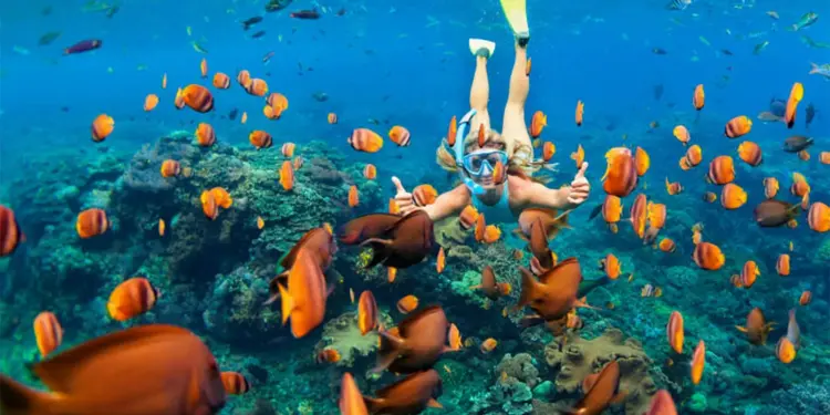 Snorkeling